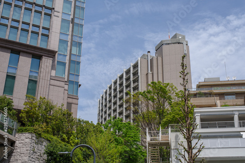 東京港区赤坂4丁目の建物と新緑