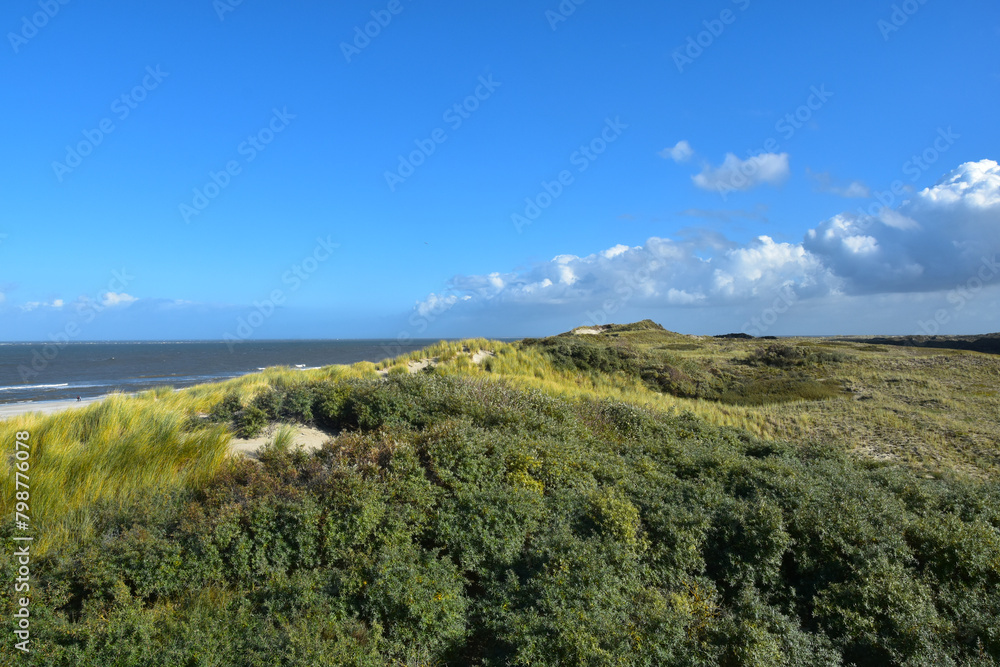 Fototapeta premium Borkum, Sanddünen am Nordstrand