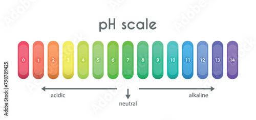 pH value scale chart for acid-alkaline solution. Acid-base balance infographic isolated on white background. Indicator for concentration of hydrogen ion in solution. Vector illustration.