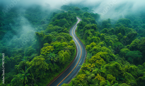 Aerial Scenic Green Forest Winding Mountain Road Landscape Photography Rainy Season Nature Outdoors Environment © Bartek