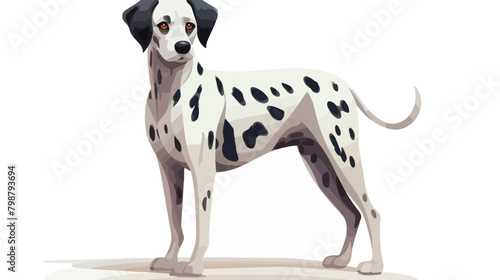 Dalmatian breed cute spotted dog. Happy purebred do