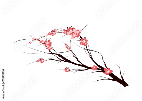 spring mood ,  Sakura flowers ,draw illustration 