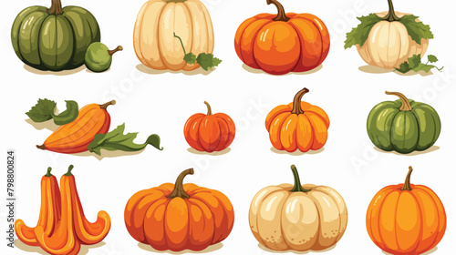 Different types of autumn whole pumpkins. Compositi