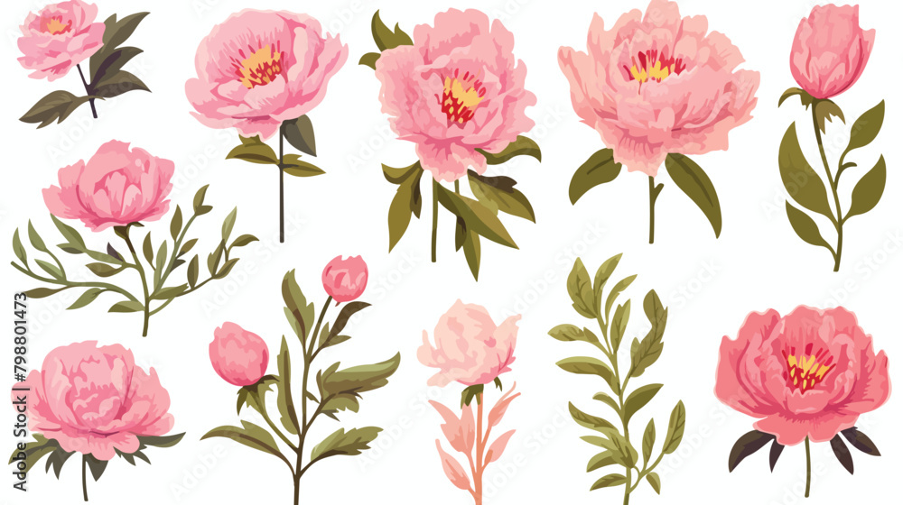 Beautiful peonies set. Hand drawn blossom flowers b