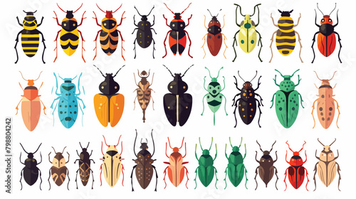 Beetles set. Summer bugs with colorful pattern on w © iclute3