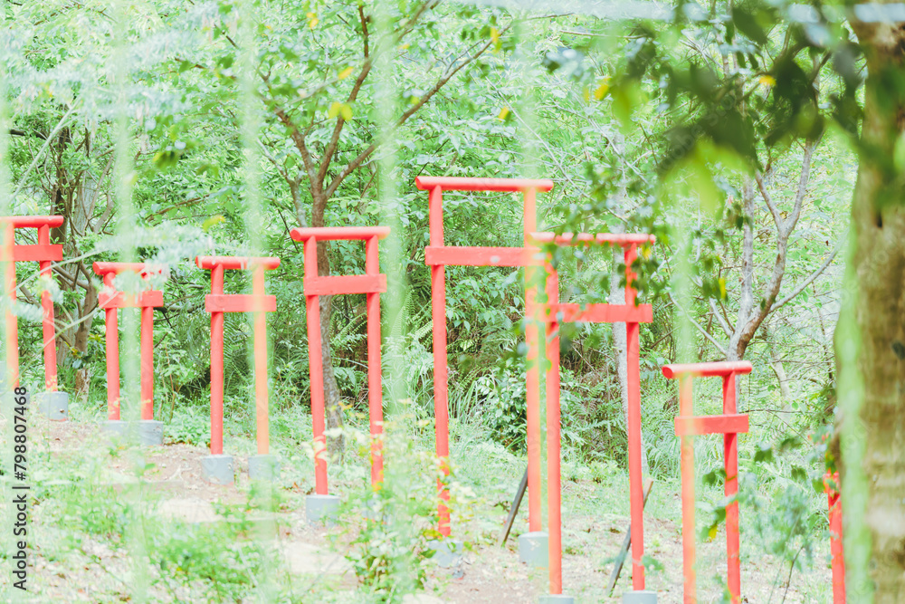 Fototapeta premium 熱海の山の上の神社