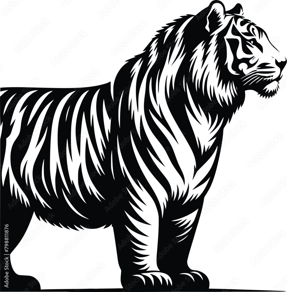 Obraz premium tiger silhouette