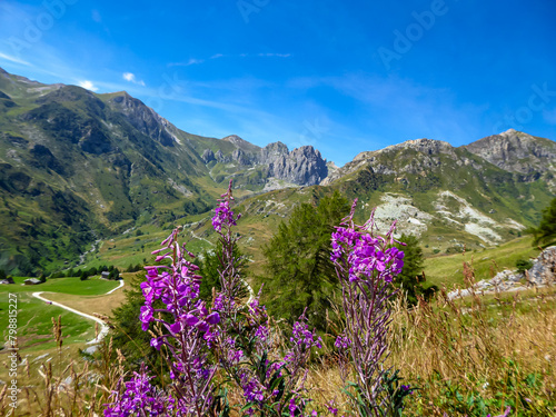 Selected focus of purple flower with scenic view of mountain sanctuary known as Santuario di San Magno in Castelmagno, Valle Grana, province of Cuneo, Piedmont, Italy. Saint Magnus stronghold photo