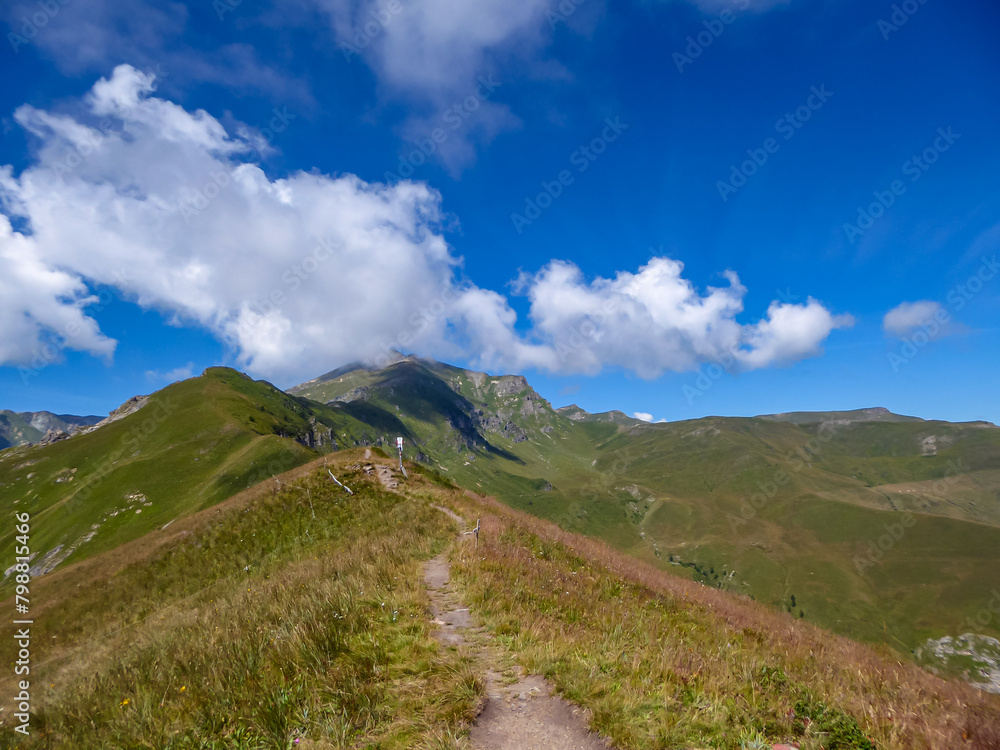 Fototapeta premium Panoramic mountain landscape of Cottian Alps in Grana Valley (Valle Grana) with clear blue sky on a sunny summer day, Castelmagno, Cuneo, Piedmont, Italy. Alpine pasture of Western Italian Alps