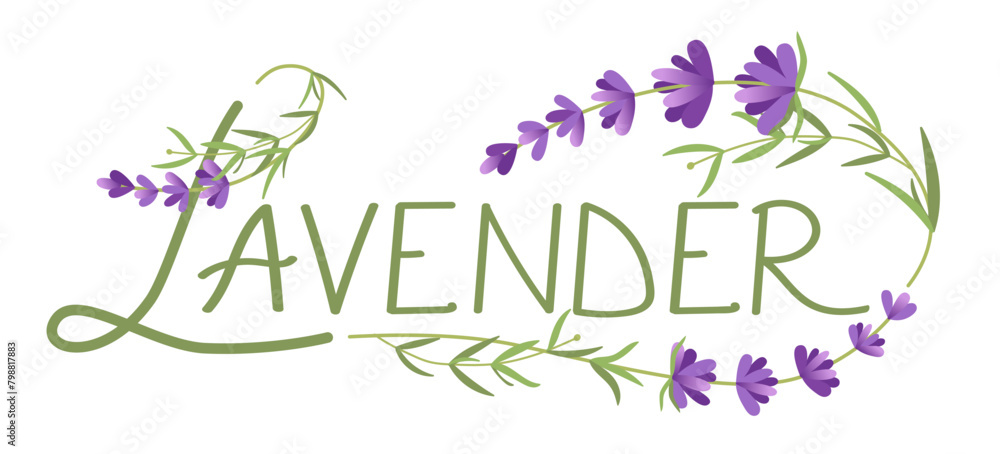 Lavender for logo design concept, editable. Logo for cosmetics, beauty, tea, oil, herbs. Lavender for logo design concept, editable. Logo for cosmetics, beauty, tea, oil, herbs.