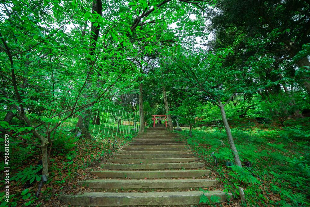 熱海の山の上の神社 熱海の山の上の神社