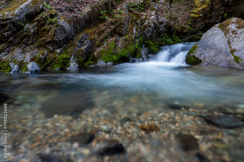 Fototapeta premium 岩の間を流れる早春の渓流
