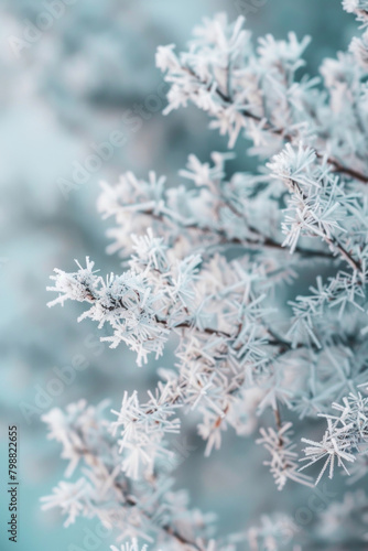 Textured intricate frost patterns and icy formations, offer a chilly and wintery backdrop, perfect for conveying coziness and seasonal charm in holiday-themed branding.