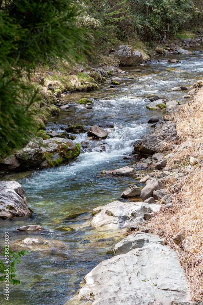 Fototapeta premium 南牧川の清らかな渓流の流れ