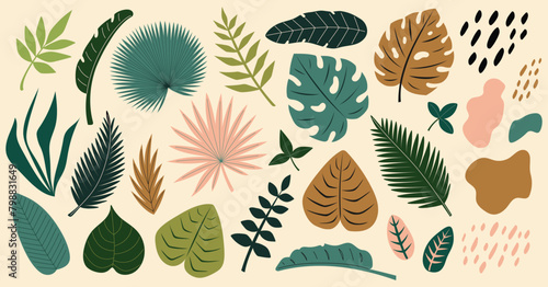 Tropical leaves set. Abstract exotic elements. Monstera, banana tree, palm leaves. Flat Vector illustration isolated on beige background