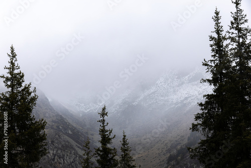 misty pine forest in the mountains in winter, Almaty, Kazakhstan, Alatau Mountains photo