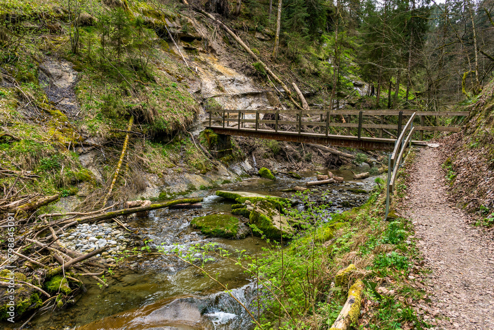 Attractive hike through the Hausbachklamm near Weiler im Allgau Attractive hike through the Hausbachklamm near Weiler im Allgau