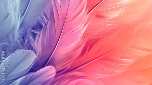 Beautiful abstract  pale feathers  background.