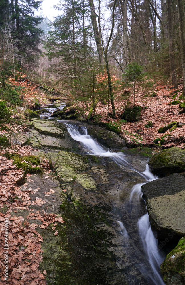 waterfall in the forest waterfall in the forest