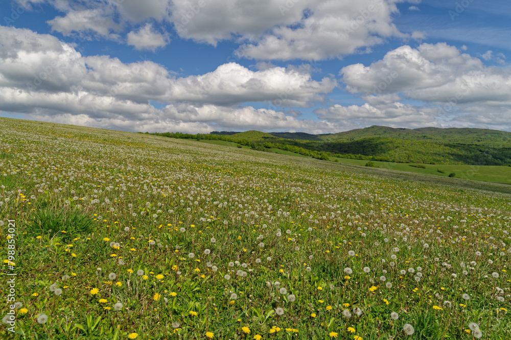 Polish Landscapes in Spring. Green and fresh grass. Polish Landscapes in Spring. Green and fresh grass.