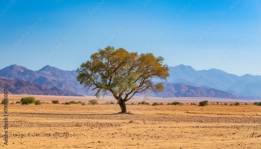 Fototapeta premium autumn in the mountains