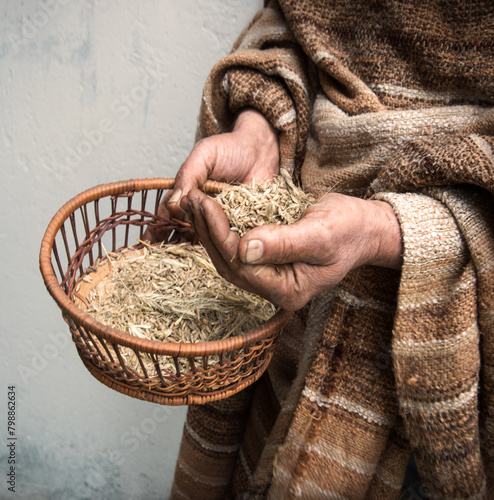 Farmer holds a sieve in his hands and sifts grain