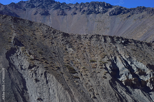 montagna, nieve, paisaje, montagna, cielo, alpes, naturaleza, de invierno, pico, panorama, alpino, hielo, glaciar, roca, nube, viajando, himalaya, pico, alto, catarro, suiza, panorámica, montar, impre photo