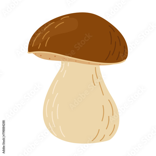 Porcini forest mushroom. Hand drawn boletus edulis fungus. Porcini fresh edible mushrooms flat style decor element. Cep. King bolete on white background. Penny bun Vector illustration
