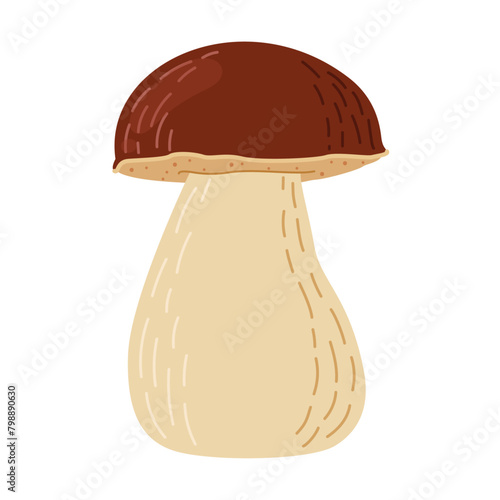 Porcini forest mushroom. Hand drawn boletus edulis fungus. Porcini fresh edible mushrooms flat style decor element. Cep. King bolete on white background. Penny bun Vector illustration