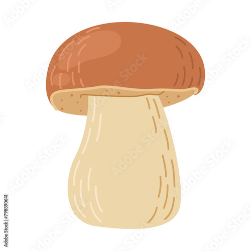 Porcini forest mushroom. Hand drawn boletus edulis fungus. Porcini fresh edible mushrooms flat style decor element. Cep. King bolete on white background. Penny bun Vector illustration
