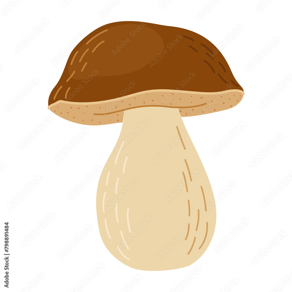 Porcini forest mushroom. Hand drawn boletus edulis fungus. Porcini fresh edible mushrooms flat style decor element. Cep. King bolete on white background. Penny bun Vector illustration Porcini forest mushroom. Hand drawn boletus edulis fungus. Porcini fresh edible mushrooms flat style decor element. Cep. King bolete on white background. Penny bun Vector illustration
