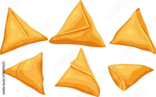 samosa on a white background