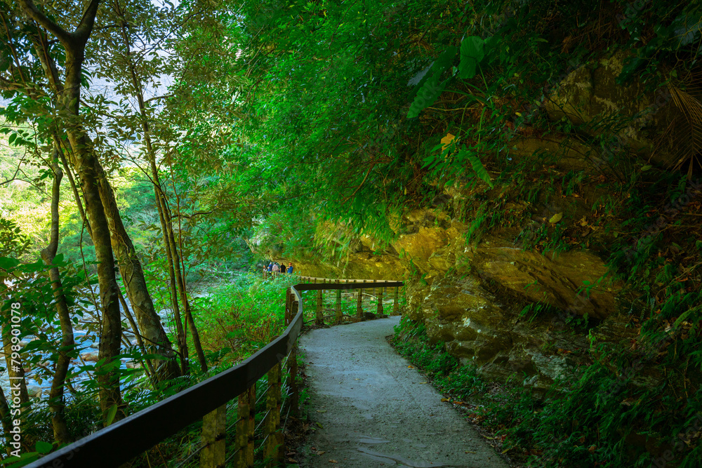 Fototapeta premium Taiwan, Hualien, Taroko, Scenic Area, Sand Card Walk, Forest Trail