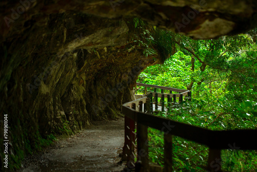 Taiwan  Hualien  Taroko  Scenic Area  Sand Card Walk  Forest Trail