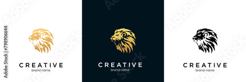 lion head design logo vector