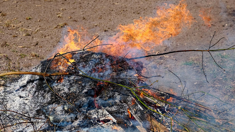 Smoke rises as flames engulf dry wooden sticks. Smoke rises as flames engulf dry wooden sticks.