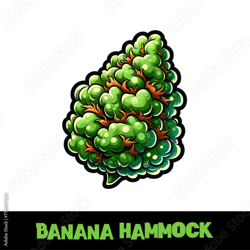 Vector Illustrated Banana Hammock Cannabis Bud Strain Cartoon (ID: 798917020)