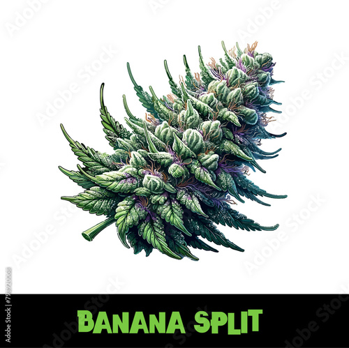 Vector Illustrated Banana Split Cannabis Bud Strain Cartoon (ID: 798920068)