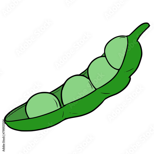 pea illustration hand drawn isolated vector	
