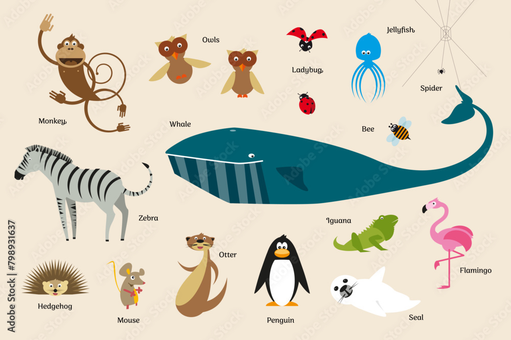 Naklejka premium Collection of animals vector illustrations, set, monkey, owls, zebra, ladybug, spider, bee, flamingo, penguin, otter, mouse, whale, hedgehog, jellyfish