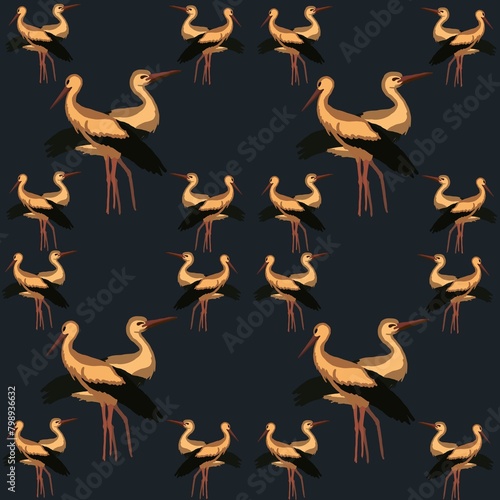 Photography crane bird, animal, nature, stork, white, wildlife, beak, ibis, feather, birds,