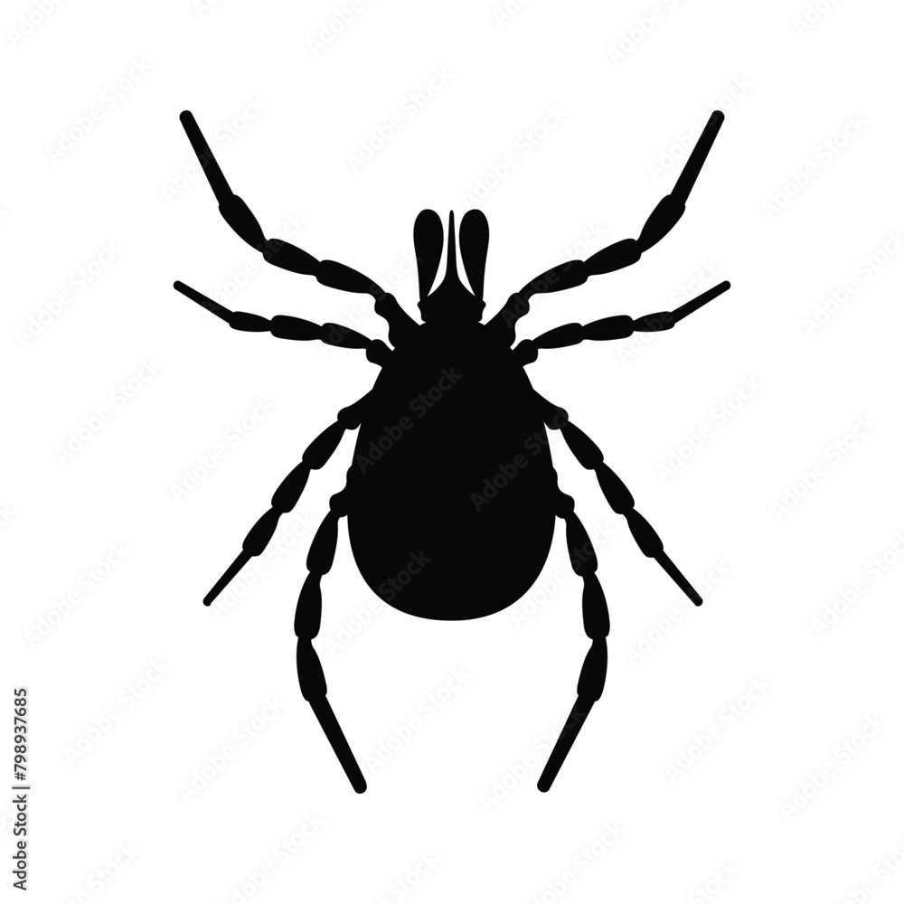 Obraz premium Mite. The silhouette of a tick is a top view. A blood-sucking parasite. The insect is a pest. Vector illustration isolated on a white background