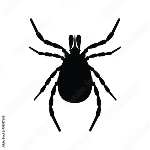 Mite. The silhouette of a tick is a top view. A blood-sucking parasite. The insect is a pest. Vector illustration isolated on a white background