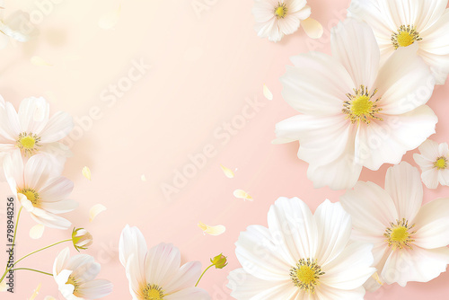 white flowers on pink background
