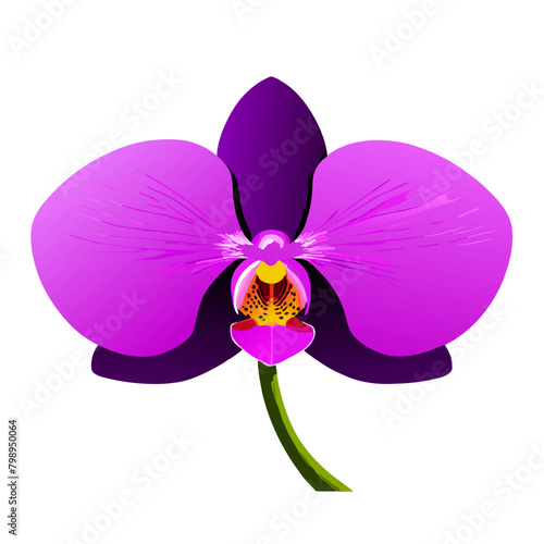 Wallpaper Mural orchid background art high Torontodigital.ca