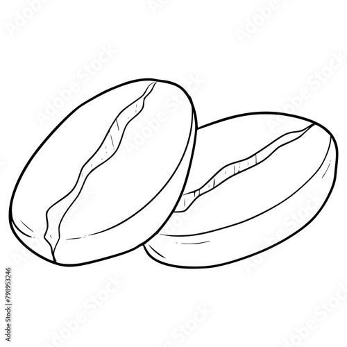 coffee bean illsutration hand drawn outline vector