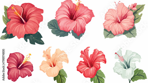 Hibiscus flowers set. Botanical vintage drawing of