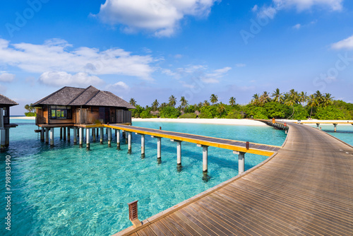 Paradise seaside wooden pier in Maldives. Idyllic tropical beach landscape for background wallpaper. Design of tourism summer vacation  destination. Exotic island scene  relaxing view palm trees sea