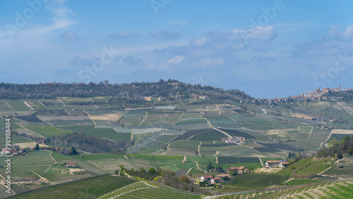 Amazing landscape of the vineyards of Langhe in Piemonte in Italy during spring time. The wine route. An Unesco World Heritage. Natural contest. Rows of vineyards