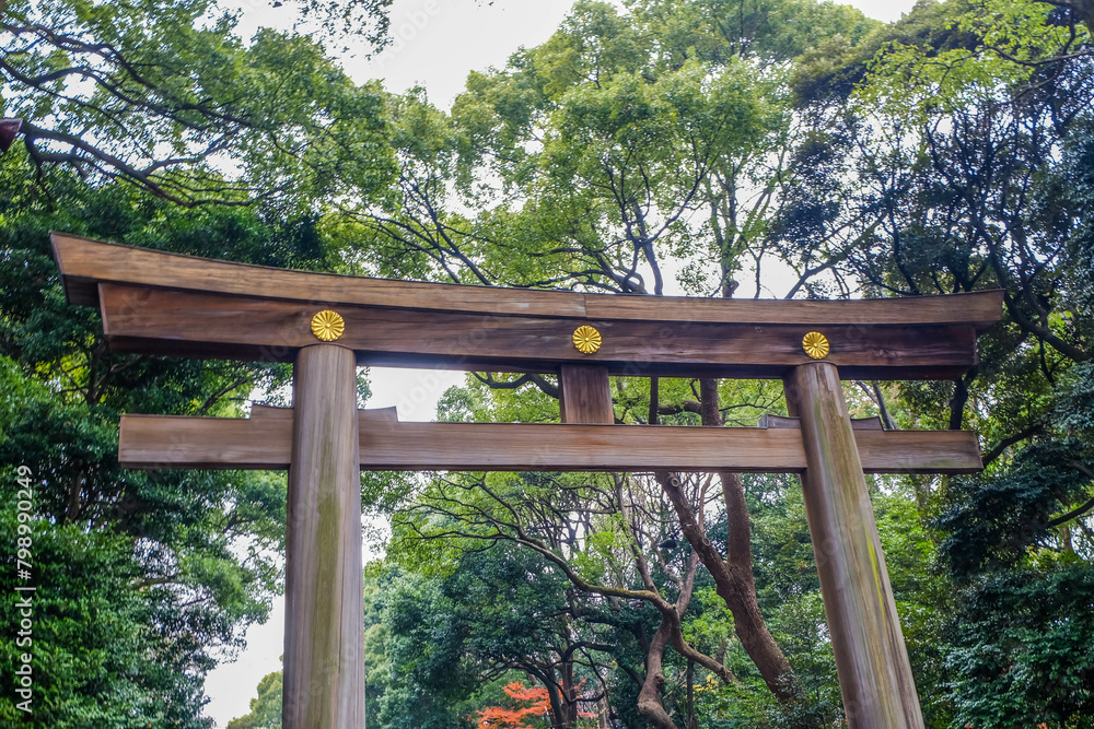 Wooden torii gate of Meiji Jingu Shrine in Tokyo, Japan. Wooden torii gate of Meiji Jingu Shrine in Tokyo, Japan.